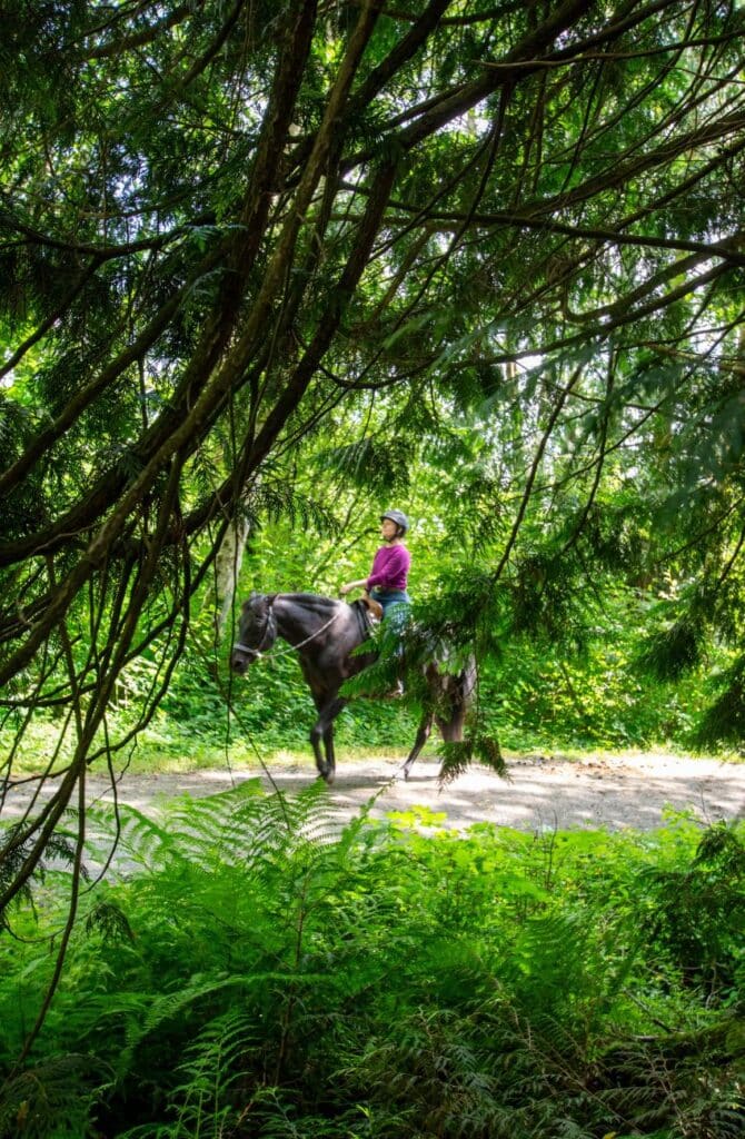 A woman in a purple shirt and helmet riding a horse on a forested dirt path, surrounded by green foliage and overhanging branches on a sunny day in Langley, B.C. Canada.