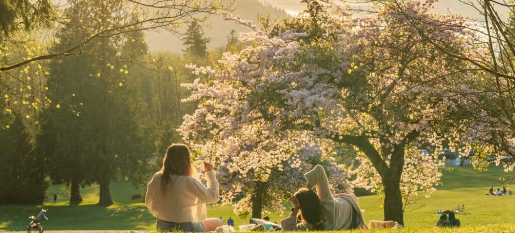 Two young women having a picnic enjoying cherry blossom flowers during springtime at Burnaby Mountain Park at sunset in Burnaby, BC, Canada.