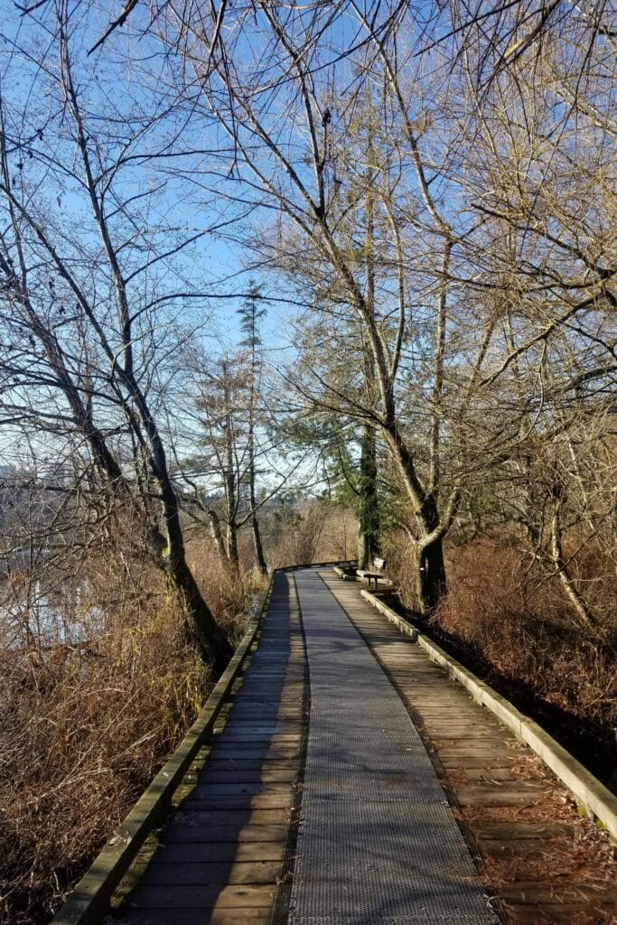 Walkway path in the trees next to a lake on an autumn sunny day in Burnaby, B.C., Canada,