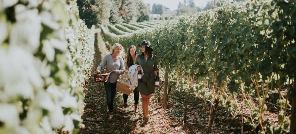 People hiking though vineyards in Abbotsford, B.C.