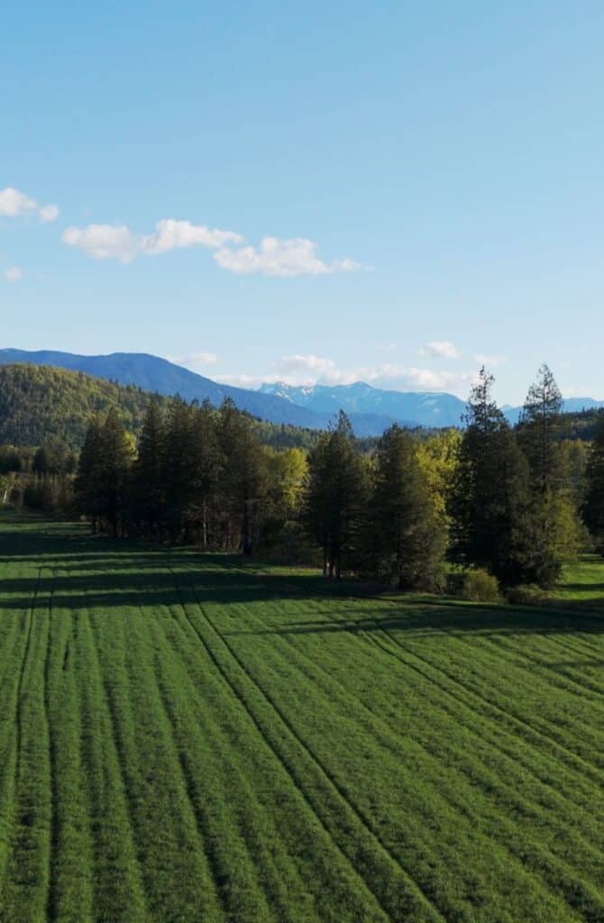 Field in Abbotsford B.C.