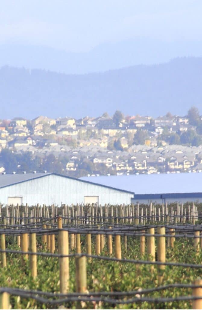Fields and houses in Abbotsford.