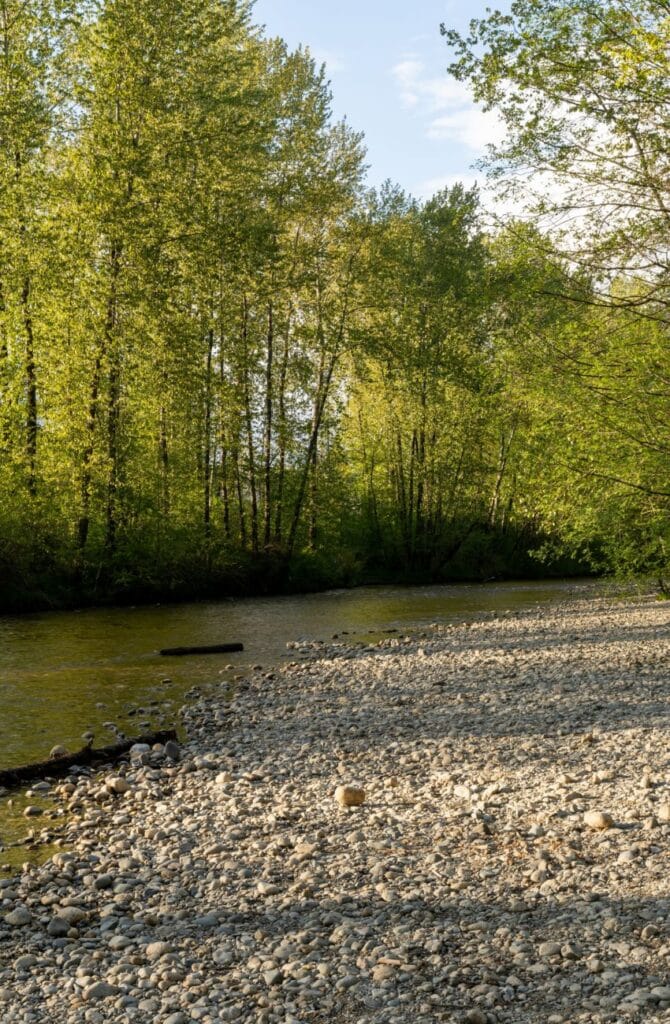 River in Port Coquitlam, B.C.