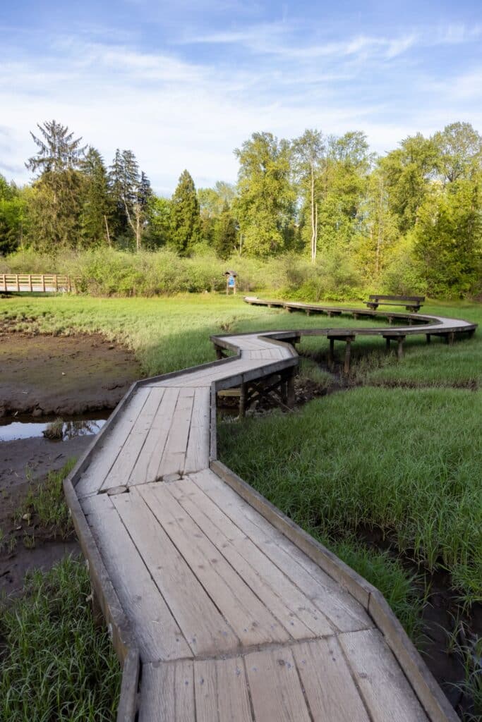 Boardwalk path in Tri-cities.