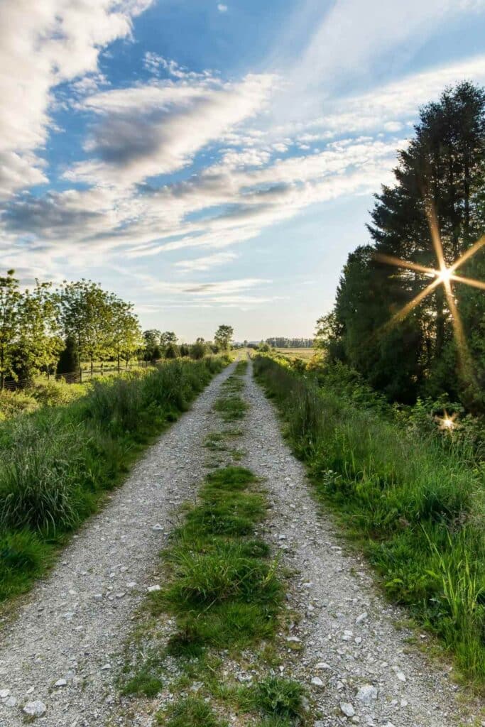 Rocky path between trees with blue sky and small white clouds on a sunny day.