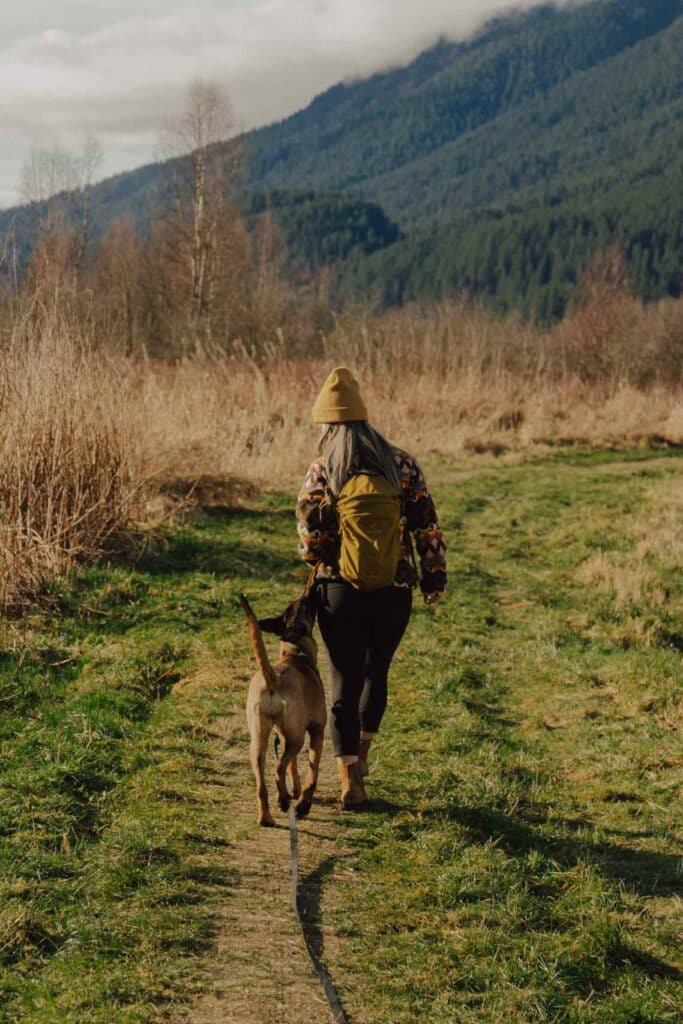 Woman and dog hiking on a trail near a mountain.