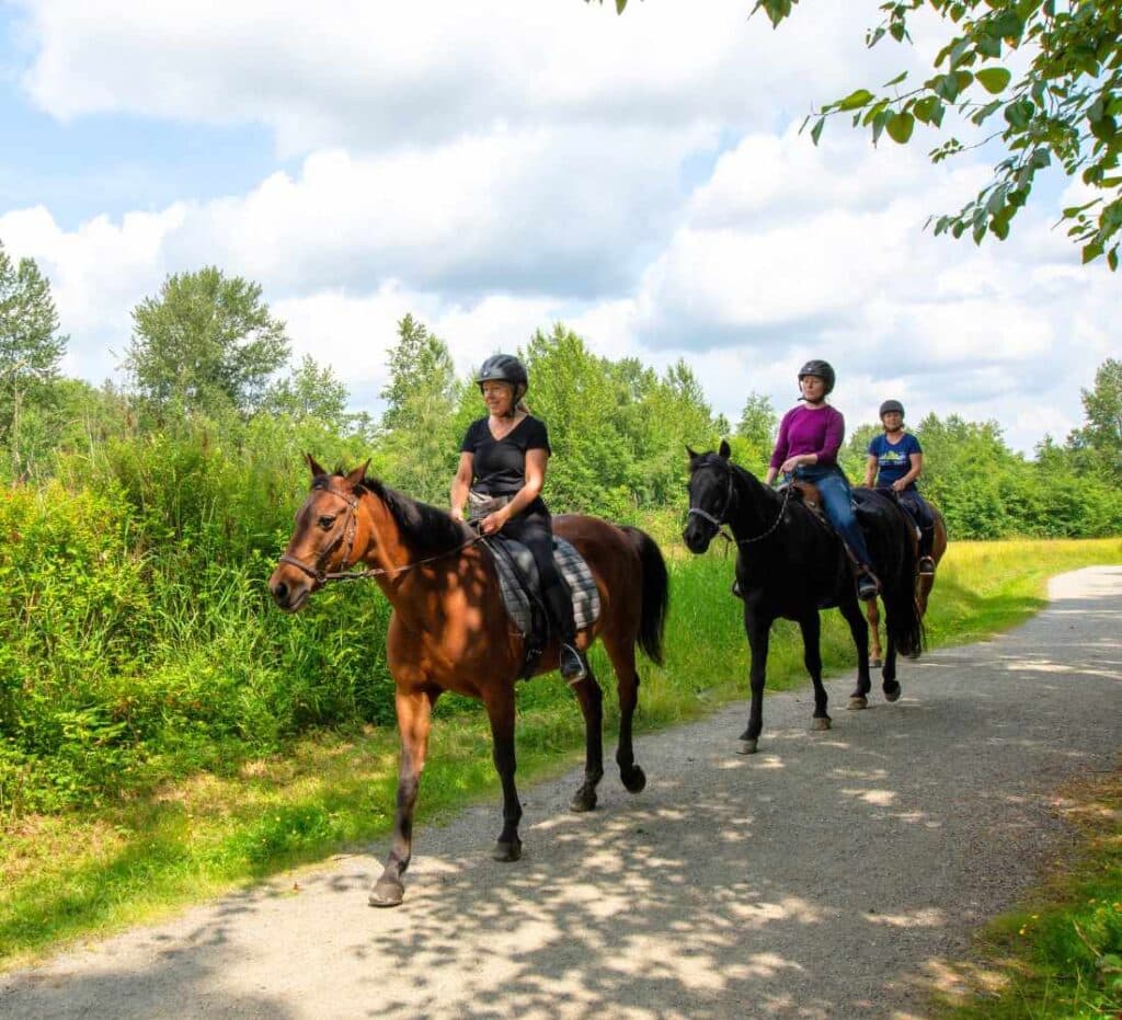 Horse riding in Langley.