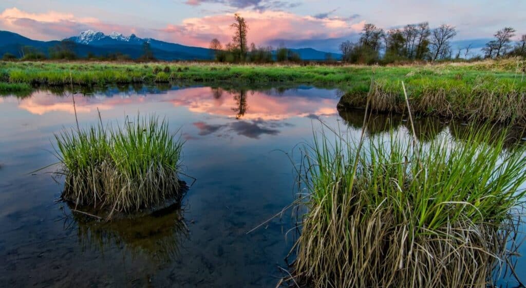 Creek and marsh at sunset with mountains in the background.