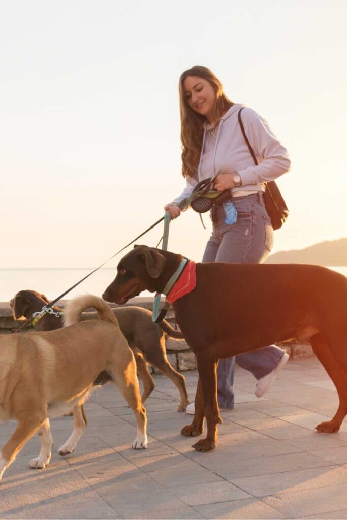Lady walking dogs at beach in White Rock.